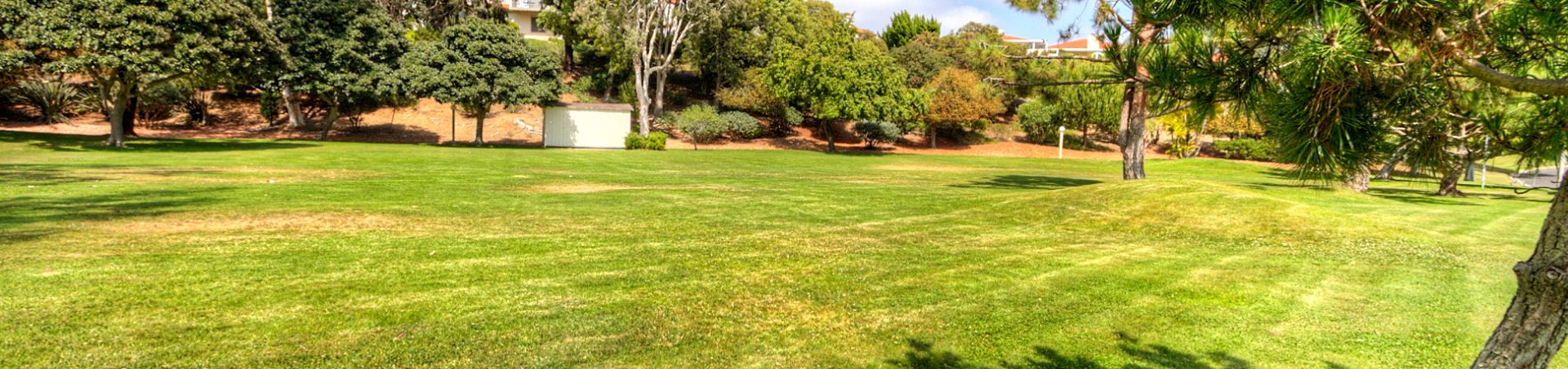 Greenbelt lawn and trees in Alta Mira
