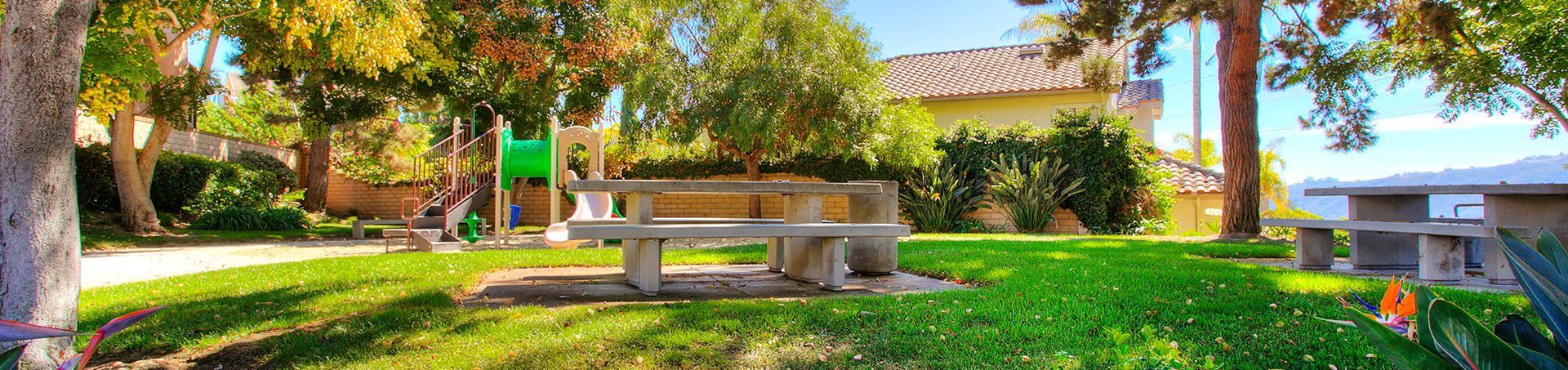 Neighborhood park at Avocet in Aviara