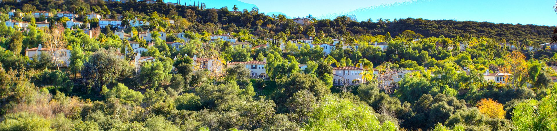 Benecia homes on the hillside above the canyon in Rancho Carrillo