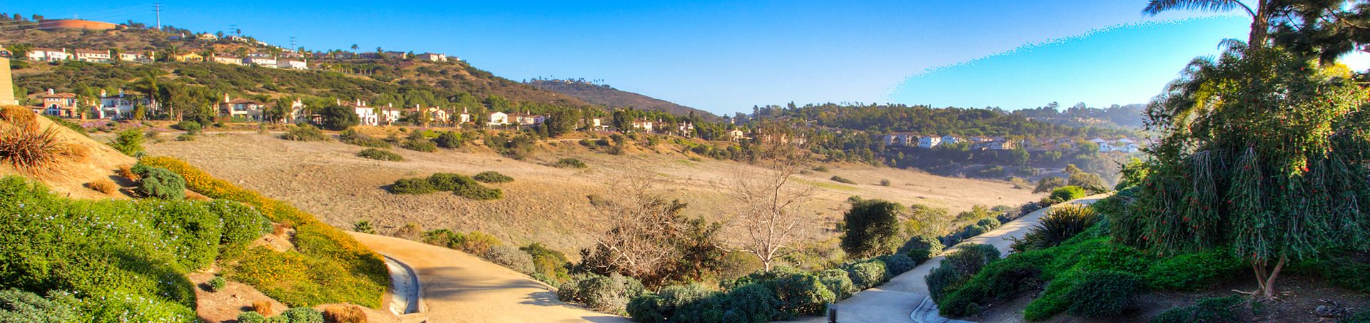 Canyon trail below the homes of Califia Serena in Rancho Carrillo