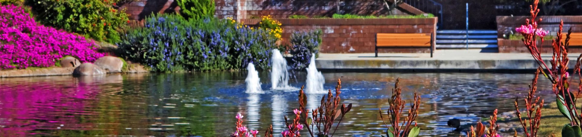 The pond and fountains inside Sea Cliff, Carlsbad